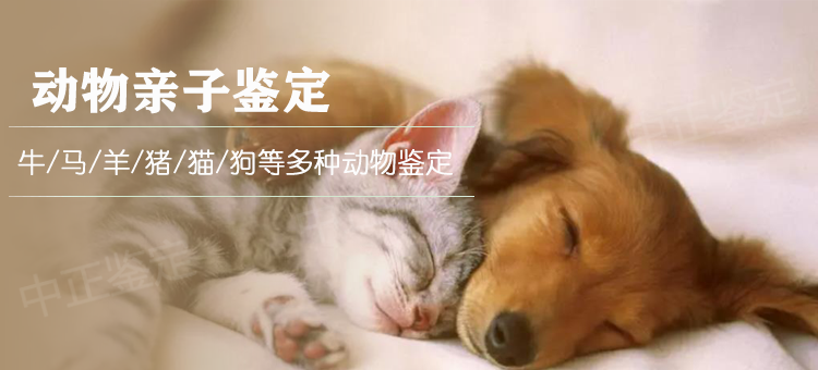 慈溪市动物鉴定