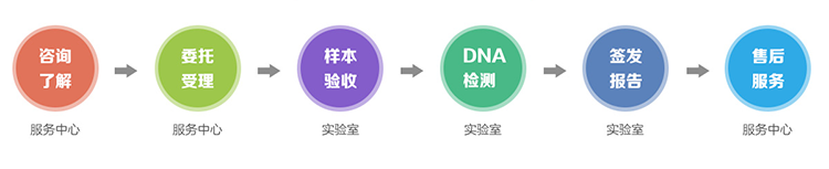 慈溪市隐私亲子鉴定流程