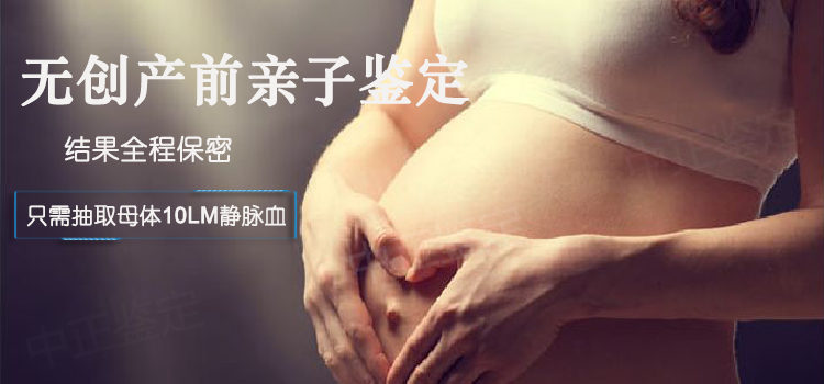 慈溪市无创胎儿亲子鉴定原理