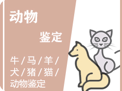 慈溪市动物鉴定