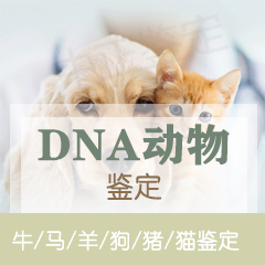 慈溪市动物鉴定